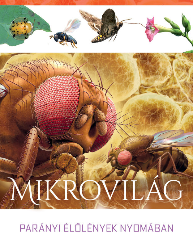 Mikrovilág – Parányi élőlények nyomában