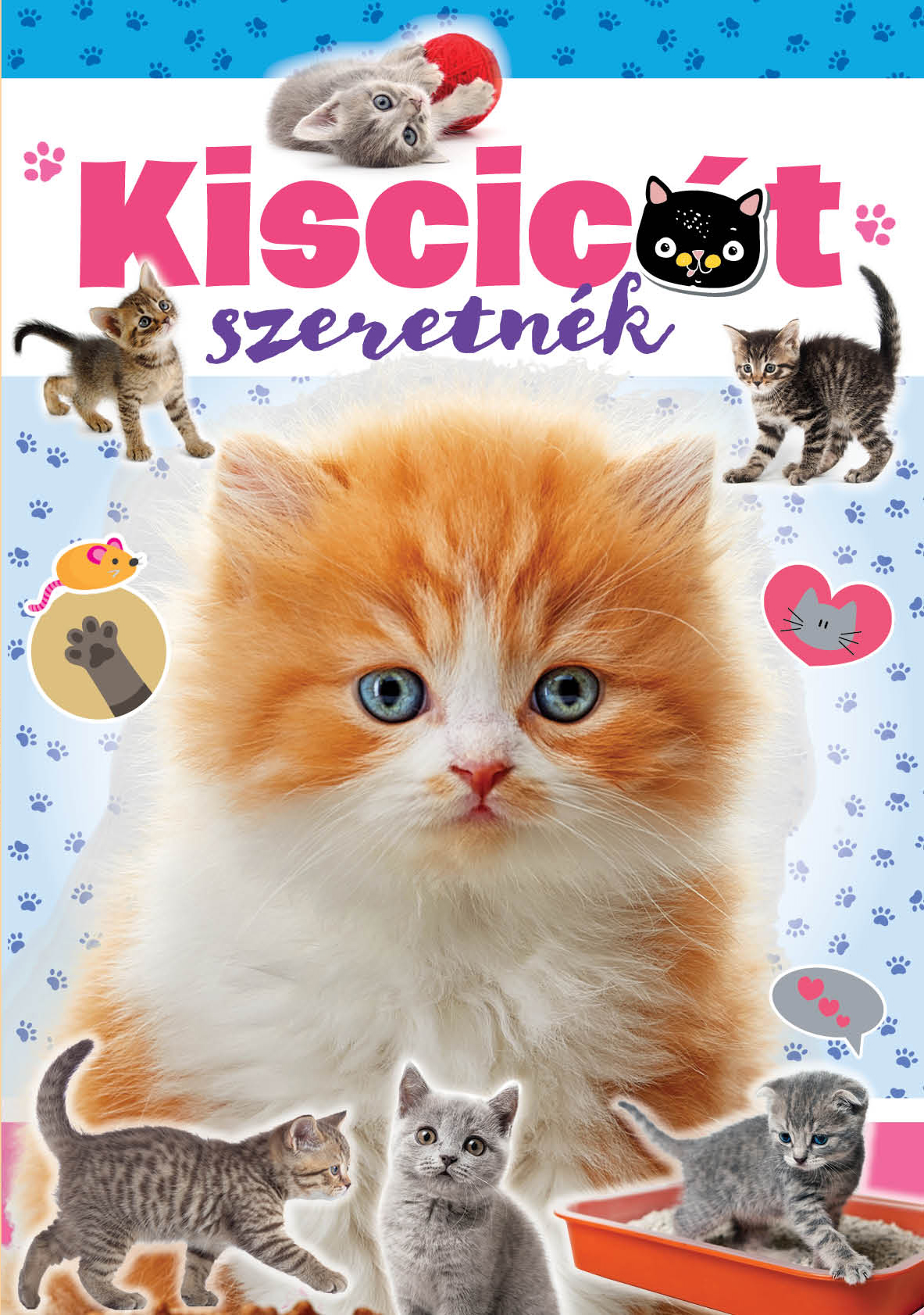 Kiscicát szeretnék