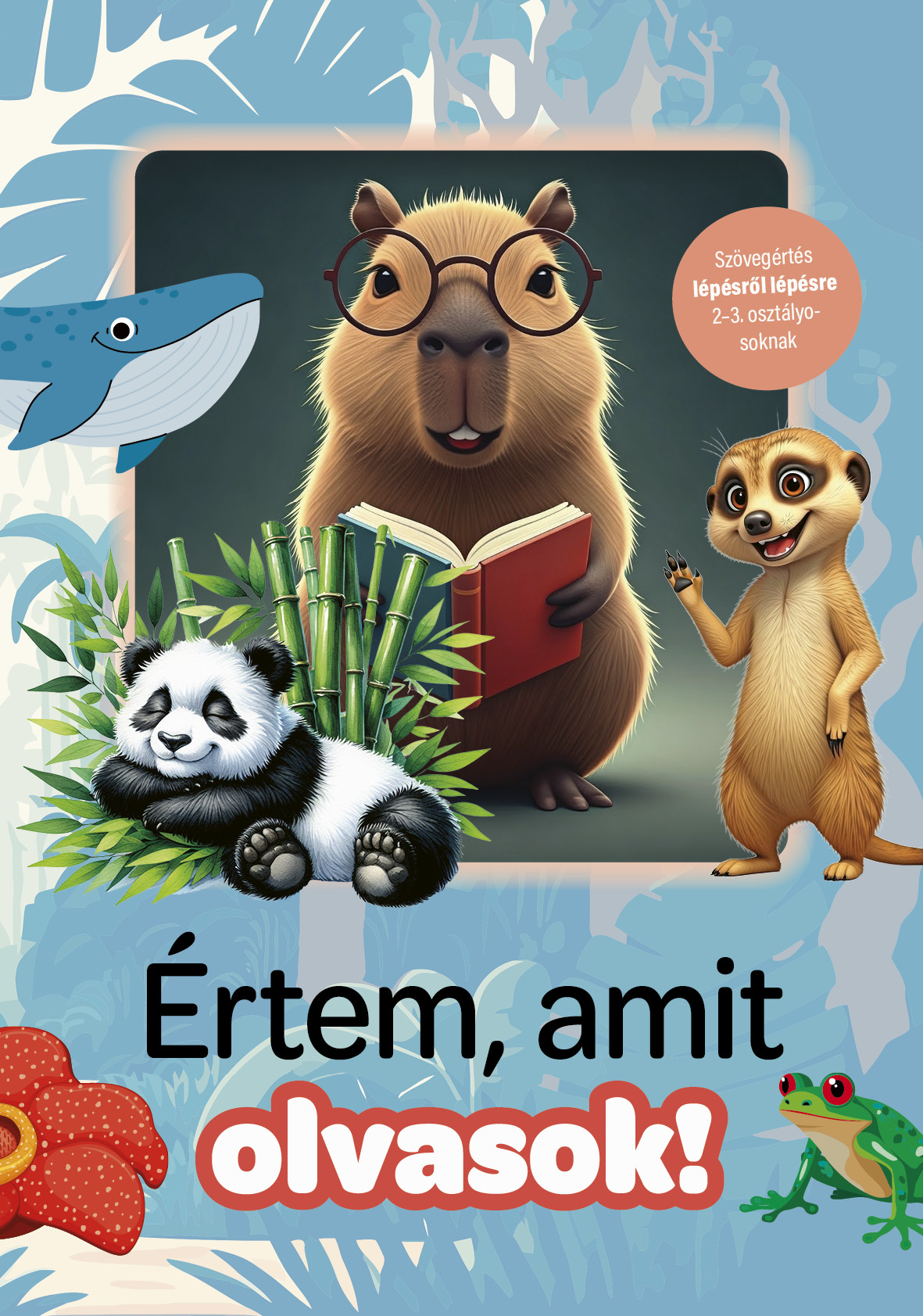Értem, amit olvasok!