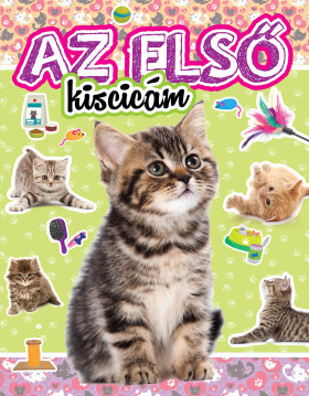 Az első kiscicám
